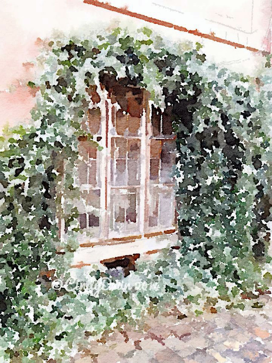 Prague-Window by Cindy Dean